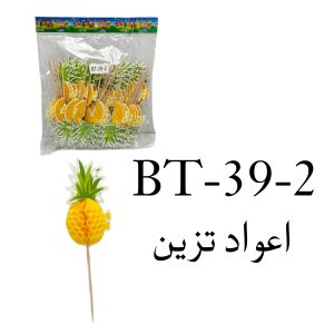 Decorative Sticks-2