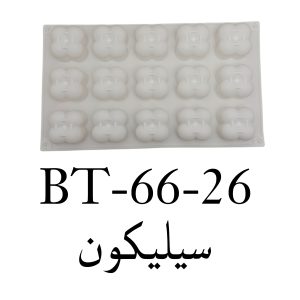 Silicone
